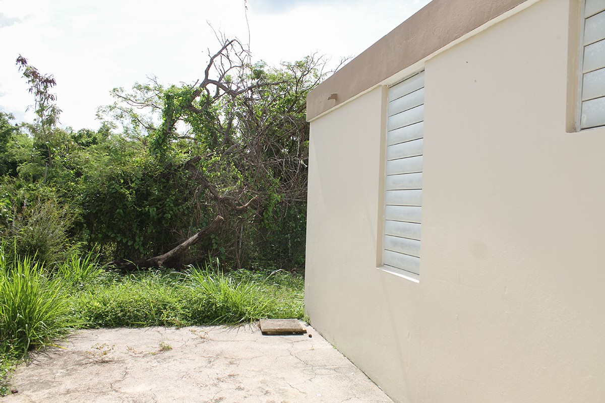 Patio-Yard