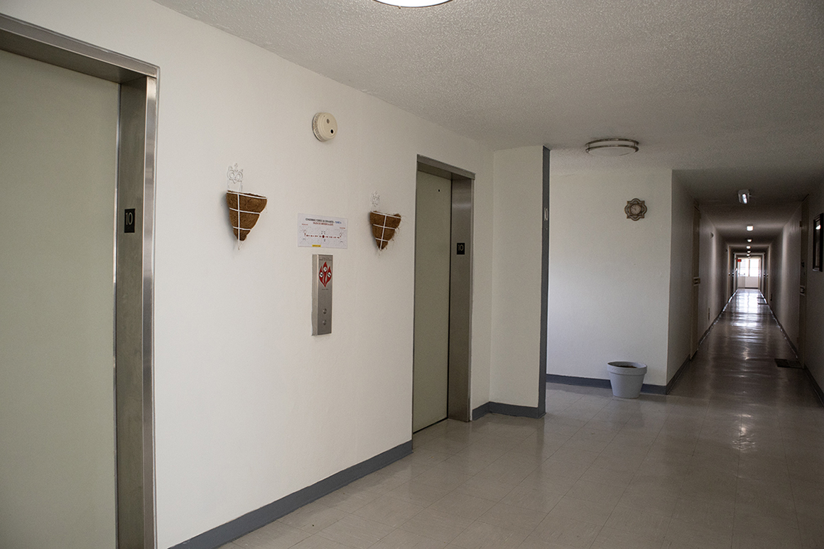 Entrada-Entrance