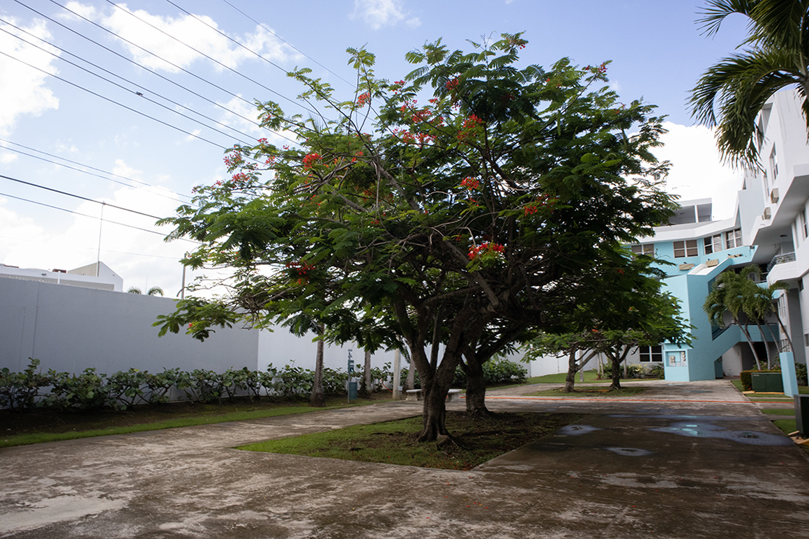 Entrada - Entrance