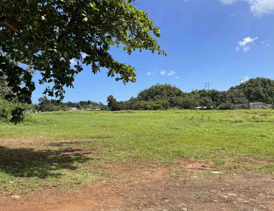 Land - 703133322