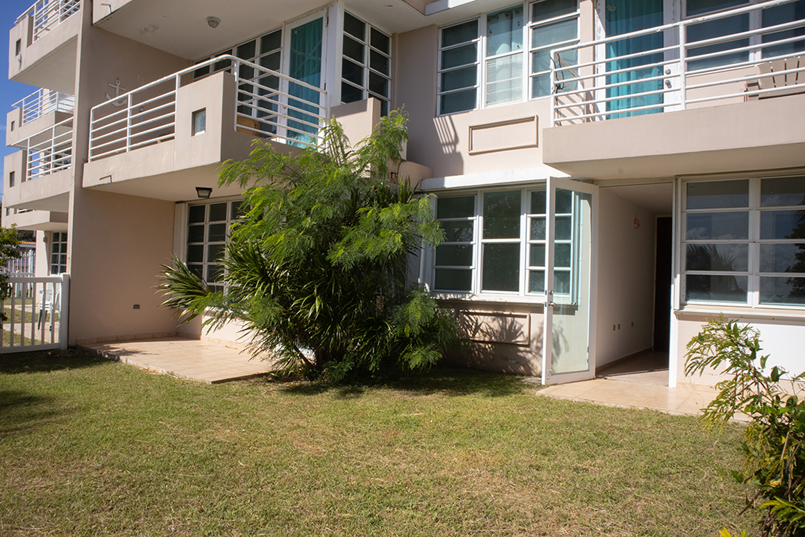 Patio-Yard