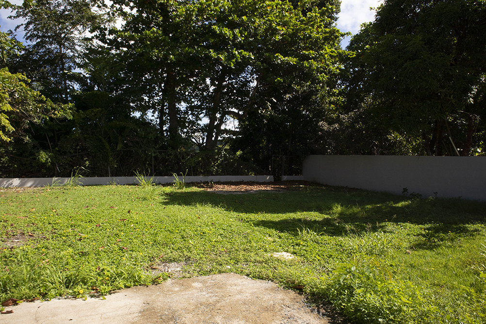 Patio-Yard
