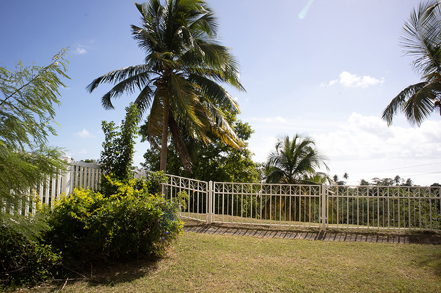 Patio-Yard