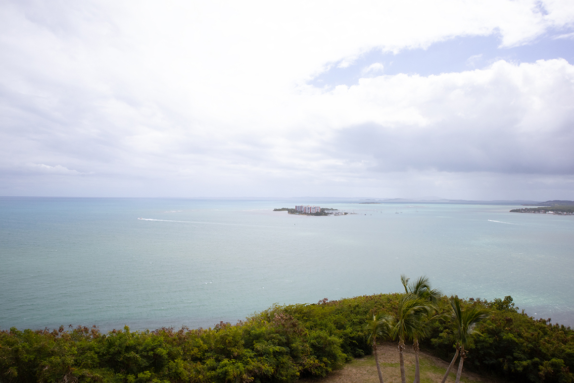 Vista-View