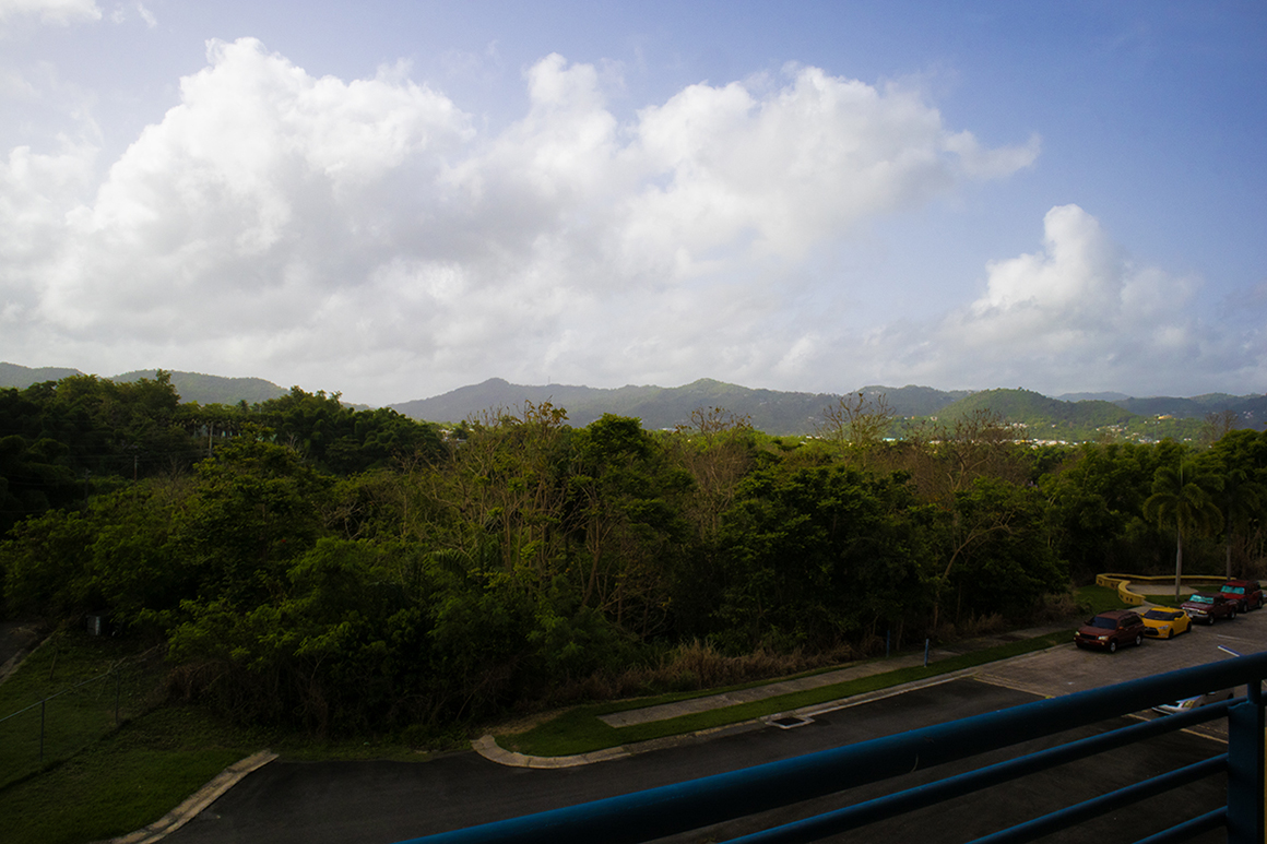 Vista-View
