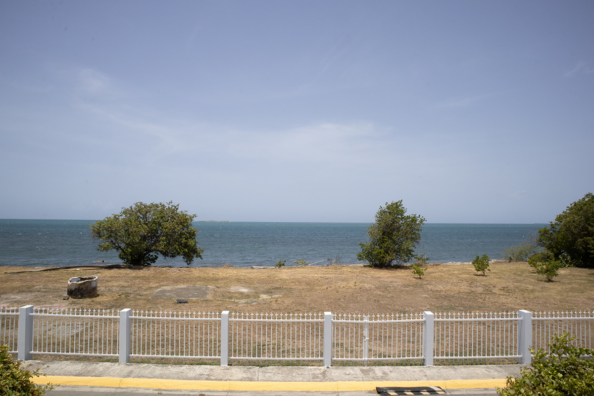Vista-View